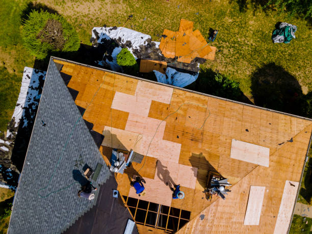Best Shingle Roofing Installation  in Velva, ND