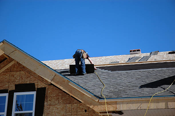 Best Storm Damage Roof Repair  in Velva, ND