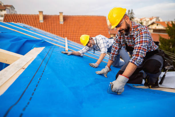 Best Commercial Roofing Services  in Velva, ND