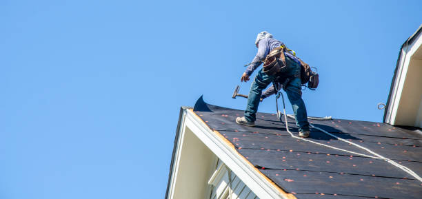 Best Metal Roofing Contractor  in Velva, ND